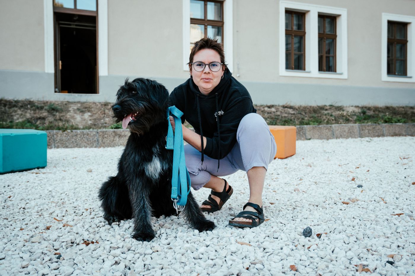 A fekete kutyák világnapja, október 1.