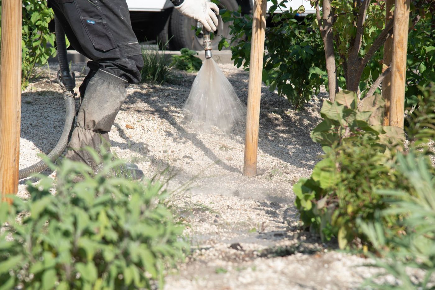 Beton helyett fák és bokrok, Kerepesi és Fogarasi út, közösségi költségvetés