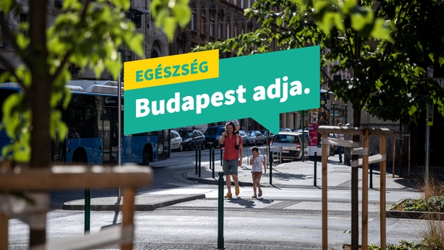Egészség: Budapest adja a Teleki téren