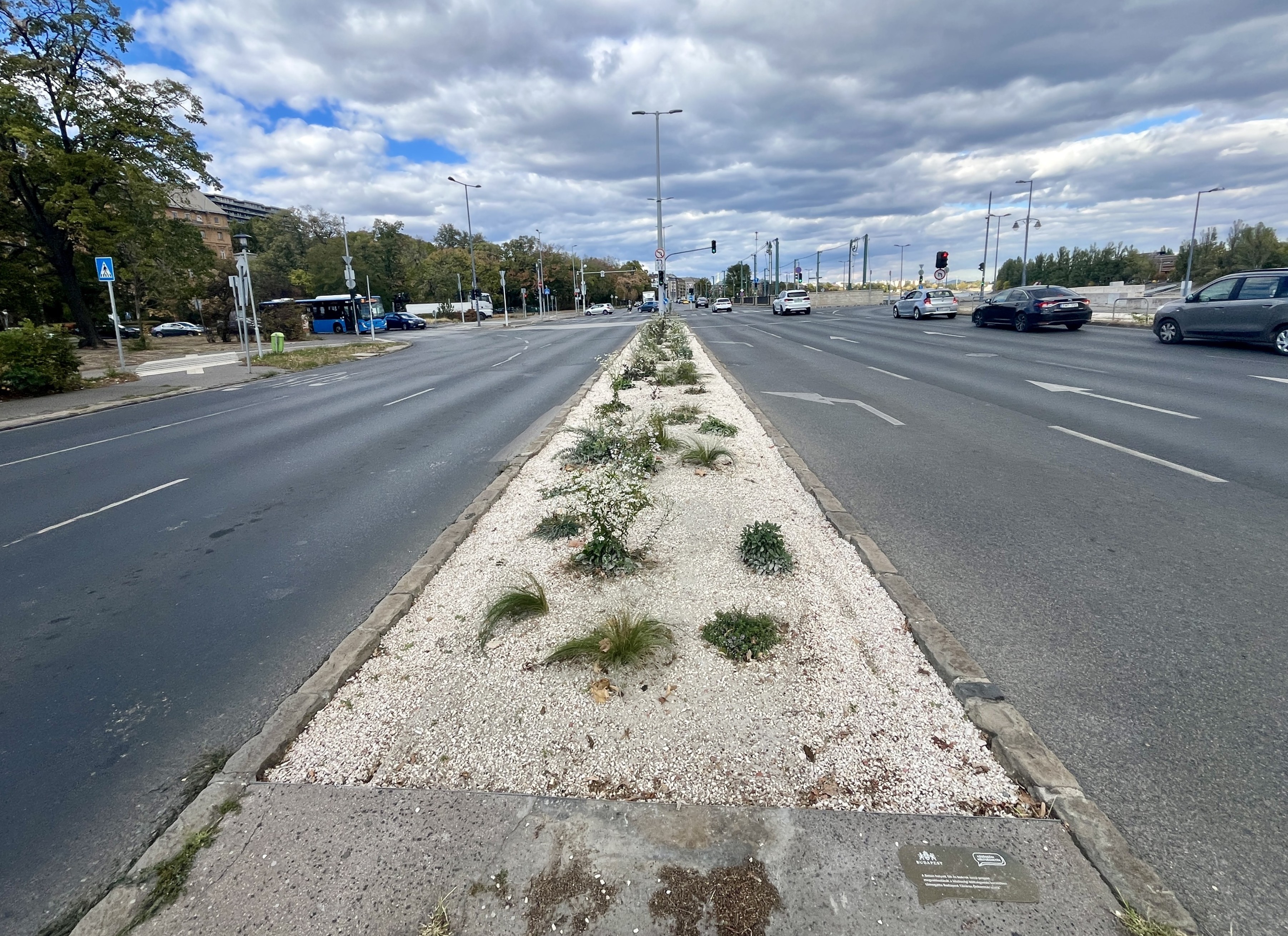 Beton helyett fák és bokrok, Margit híd budai hídfő, közösségi költségvetés