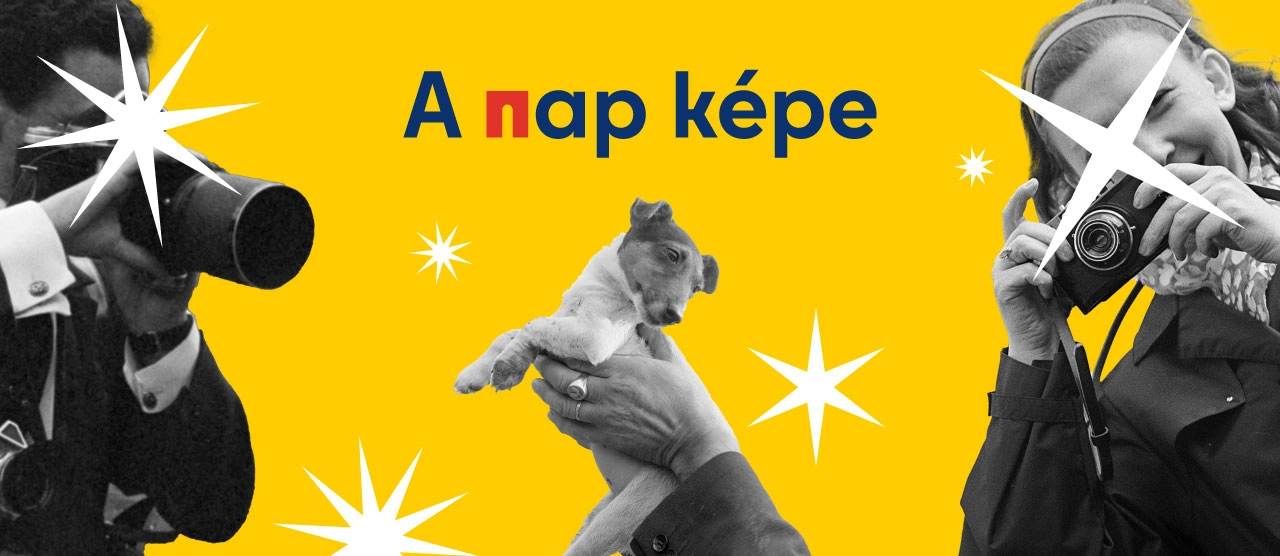 napképe cover