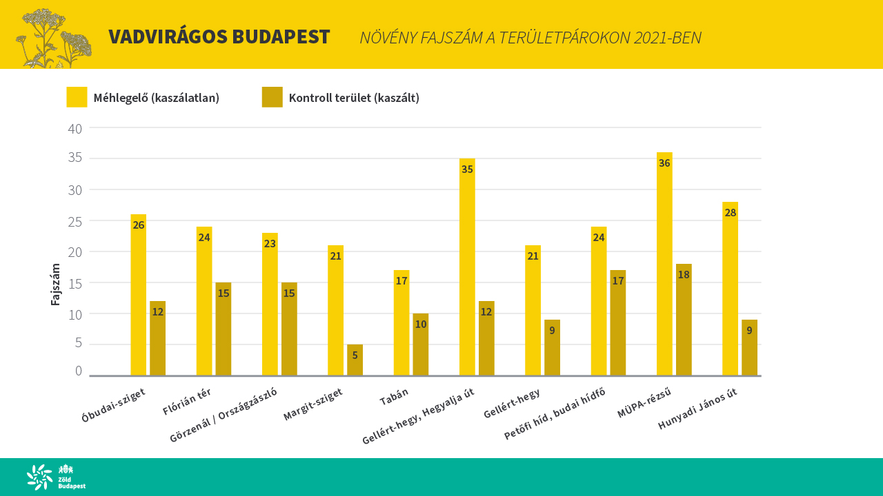 vadviragos_budapest_diagram.jpg