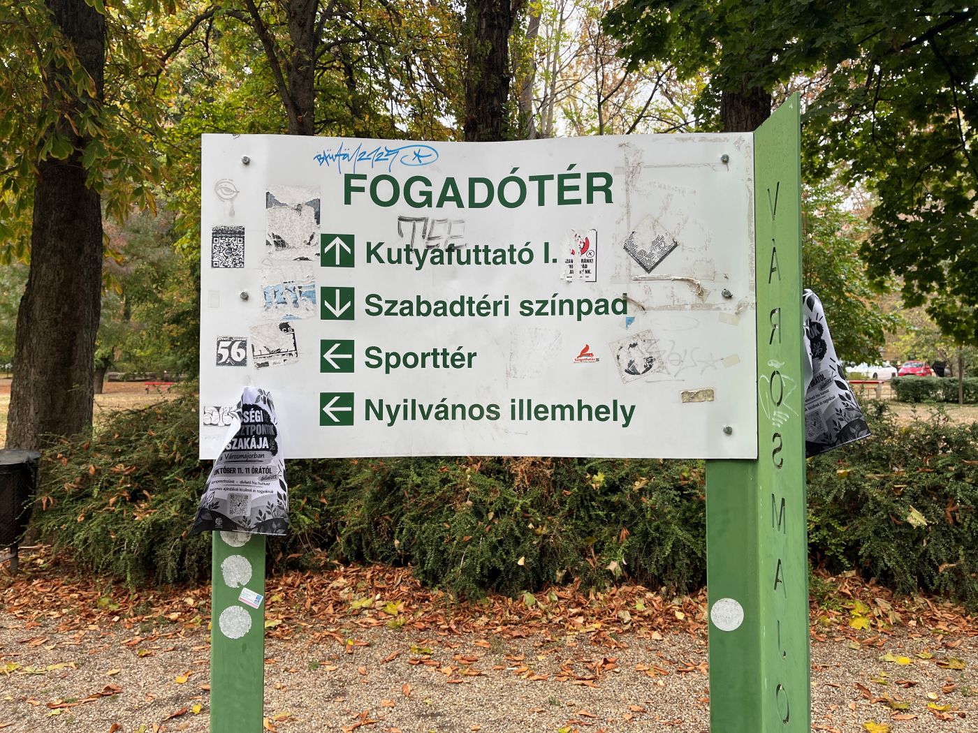 Városmajor, közösségi költségvetés, esőkert kialakítása, zöldfelületi rendezés
